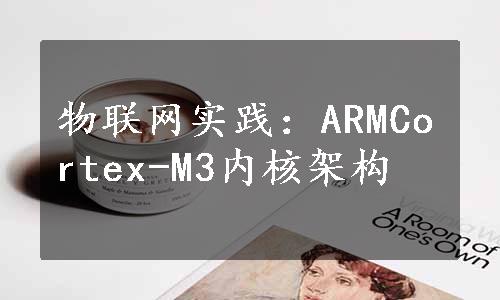 物联网实践：ARMCortex-M3内核架构