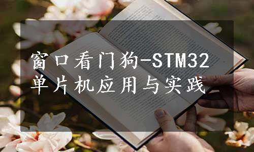 窗口看门狗-STM32单片机应用与实践