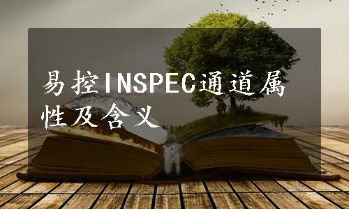 易控INSPEC通道属性及含义