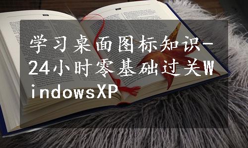 学习桌面图标知识-24小时零基础过关WindowsXP