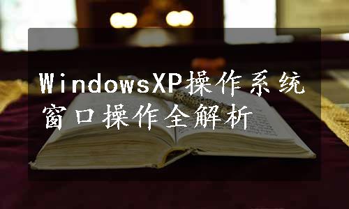 WindowsXP操作系统窗口操作全解析