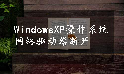 WindowsXP操作系统网络驱动器断开