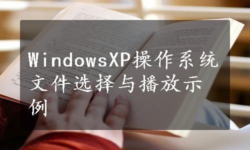 WindowsXP操作系统文件选择与播放示例