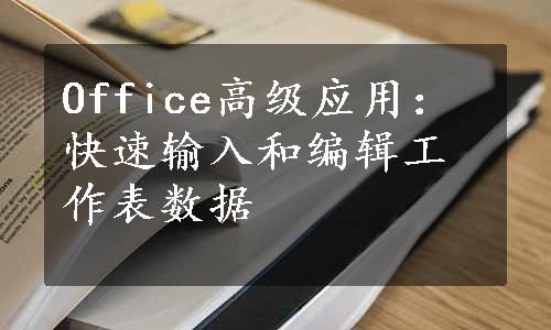 Office高级应用：快速输入和编辑工作表数据