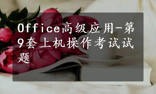 Office高级应用-第9套上机操作考试试题