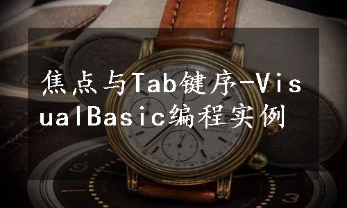 焦点与Tab键序-VisualBasic编程实例