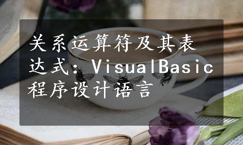 关系运算符及其表达式：VisualBasic程序设计语言