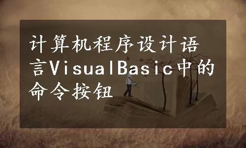 计算机程序设计语言VisualBasic中的命令按钮