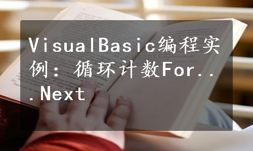 VisualBasic编程实例：循环计数For...Next