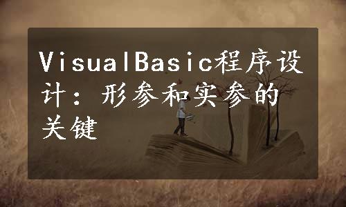 VisualBasic程序设计：形参和实参的关键