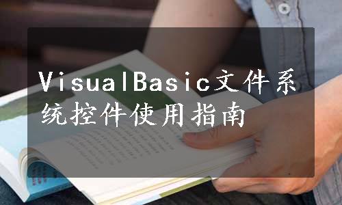 VisualBasic文件系统控件使用指南