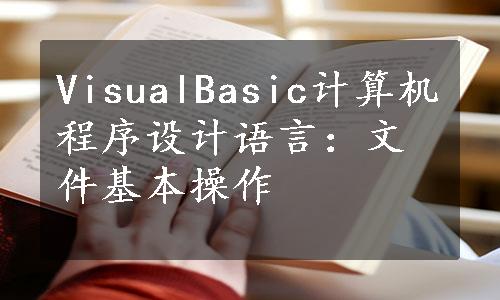 VisualBasic计算机程序设计语言：文件基本操作