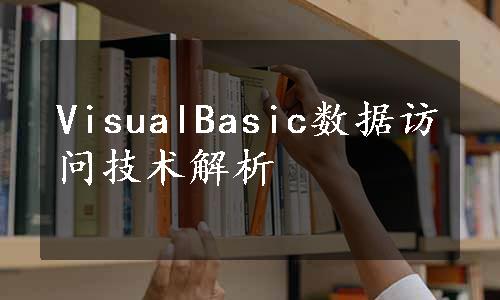 VisualBasic数据访问技术解析