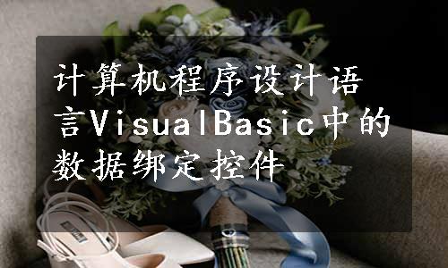 计算机程序设计语言VisualBasic中的数据绑定控件