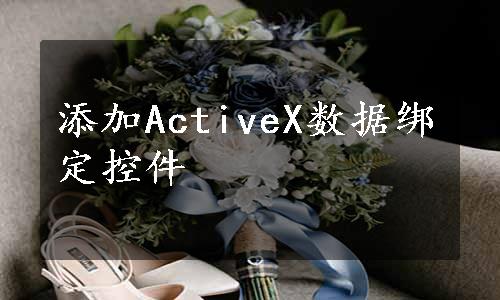 添加ActiveX数据绑定控件