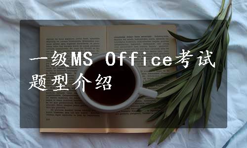 一级MS Office考试题型介绍