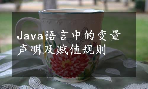 Java语言中的变量声明及赋值规则