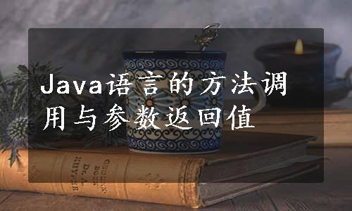 Java语言的方法调用与参数返回值