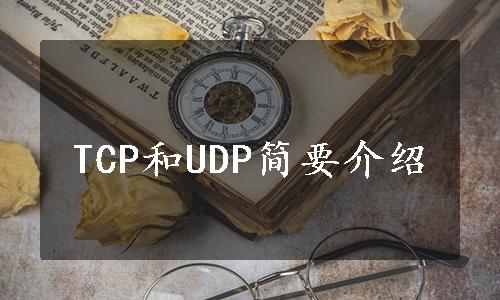 TCP和UDP简要介绍