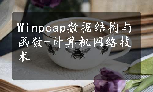 Winpcap数据结构与函数-计算机网络技术