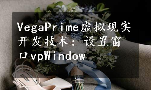 VegaPrime虚拟现实开发技术：设置窗口vpWindow