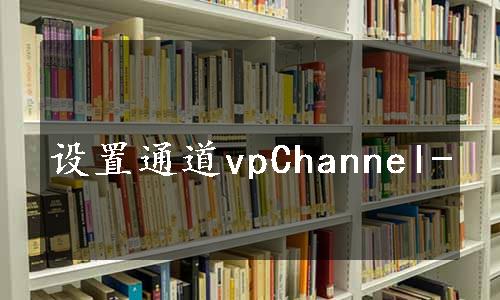 设置通道vpChannel-