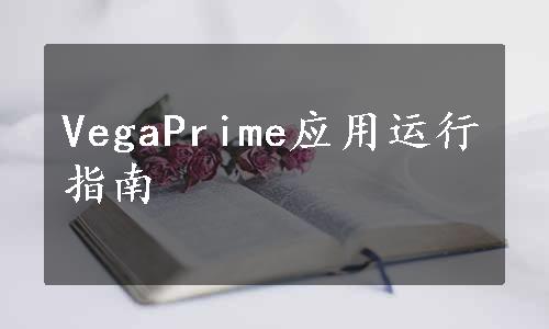 VegaPrime应用运行指南