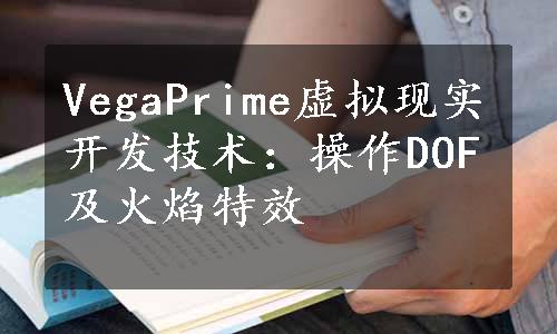 VegaPrime虚拟现实开发技术：操作DOF及火焰特效