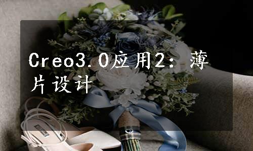 Creo3.0应用2：薄片设计