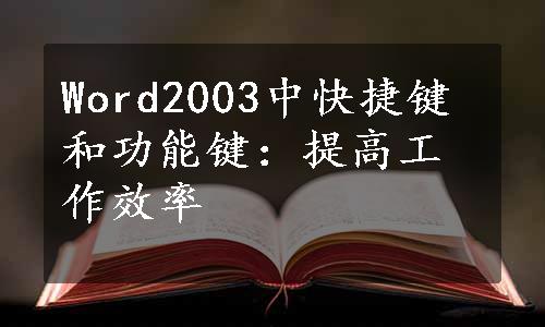 Word2003中快捷键和功能键：提高工作效率