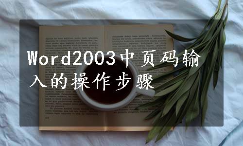 Word2003中页码输入的操作步骤