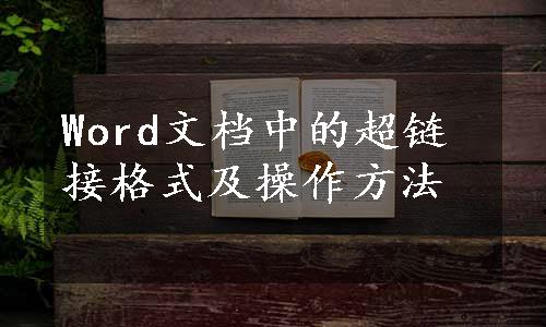 Word文档中的超链接格式及操作方法