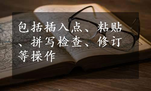 包括插入点、粘贴、拼写检查、修订等操作