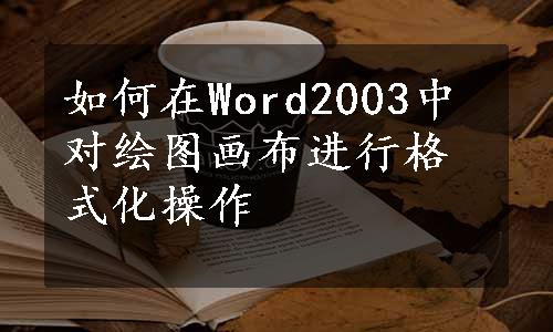 如何在Word2003中对绘图画布进行格式化操作