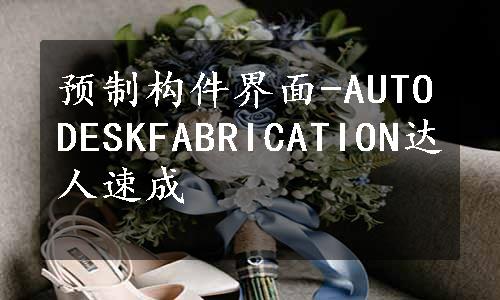 预制构件界面-AUTODESKFABRICATION达人速成