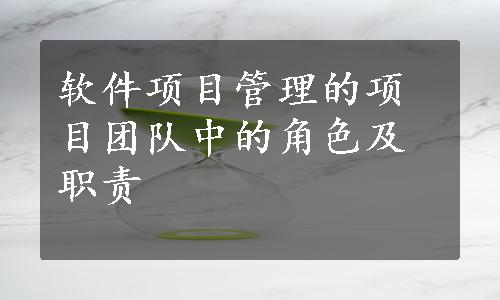 软件项目管理的项目团队中的角色及职责