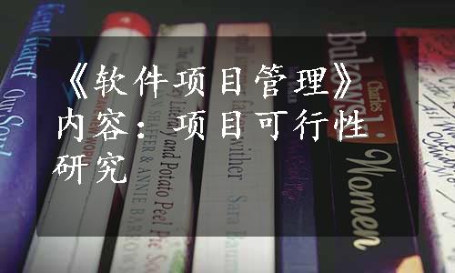 《软件项目管理》内容：项目可行性研究