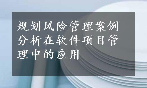 规划风险管理案例分析在软件项目管理中的应用