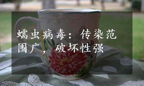 蠕虫病毒：传染范围广，破坏性强