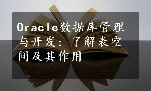 Oracle数据库管理与开发：了解表空间及其作用