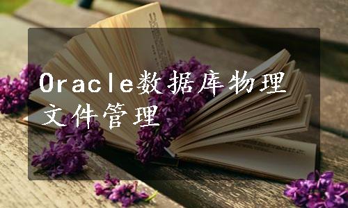 Oracle数据库物理文件管理