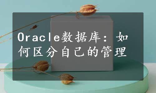 Oracle数据库：如何区分自己的管理