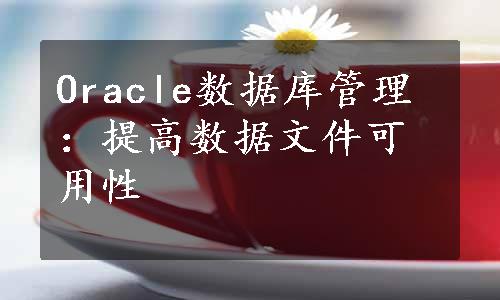 Oracle数据库管理：提高数据文件可用性