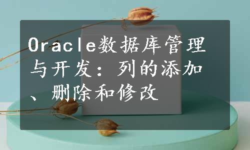 Oracle数据库管理与开发：列的添加、删除和修改