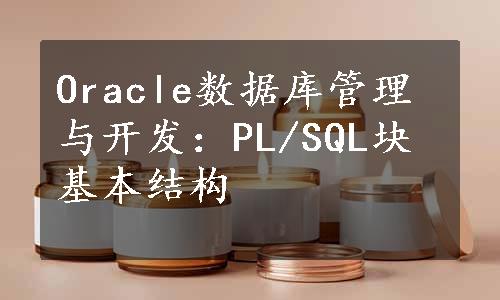 Oracle数据库管理与开发：PL/SQL块基本结构