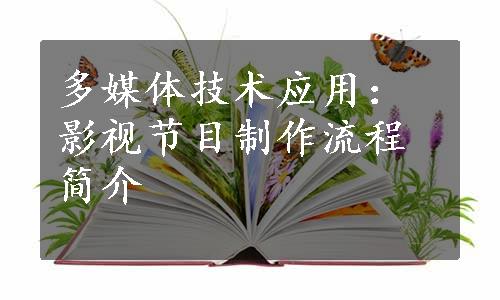 多媒体技术应用：影视节目制作流程简介