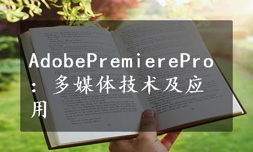 AdobePremierePro：多媒体技术及应用