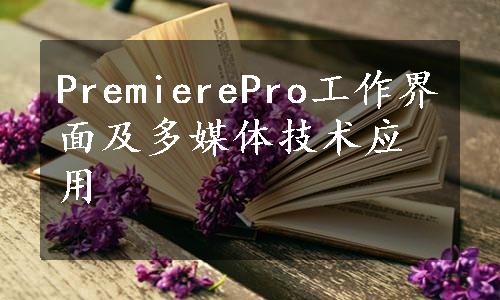 PremierePro工作界面及多媒体技术应用