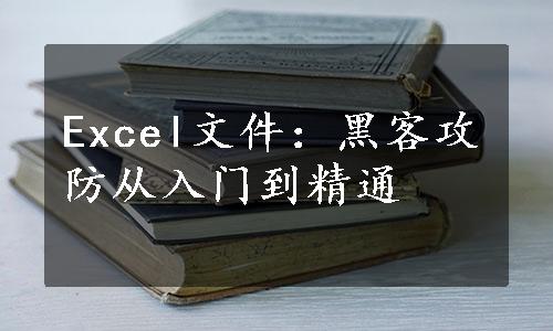 Excel文件：黑客攻防从入门到精通