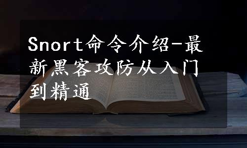 Snort命令介绍-最新黑客攻防从入门到精通